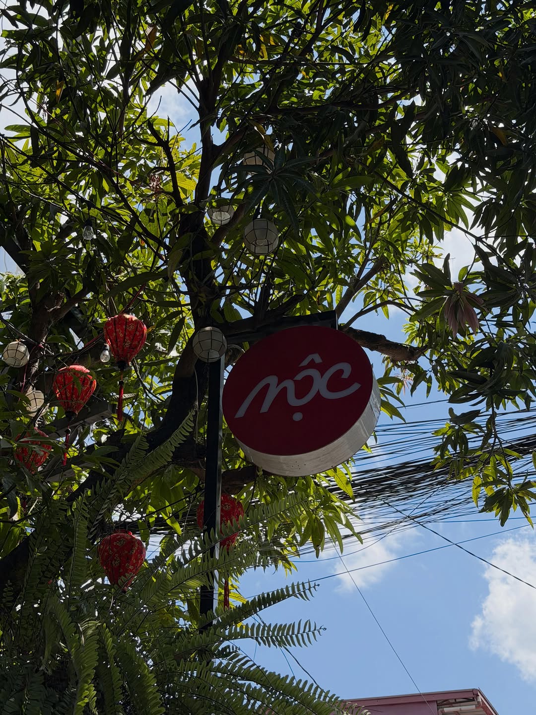 MỘC Cafe outdoor sign seen through tree branches